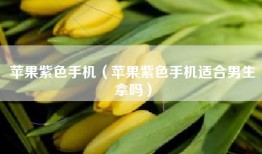 苹果紫色手机（苹果紫色手机适合男生拿吗）