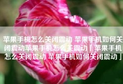 苹果手机怎么关闭震动 苹果手机如何关闭震动苹果手机怎么关震动「苹果手机怎么关闭震动 苹果手机如何关闭震动」