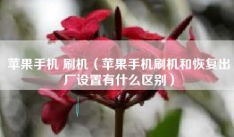 苹果手机 刷机（苹果手机刷机和恢复出厂设置有什么区别）