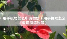 用手机号怎么申请微信（用手机号怎么申请微信账号）