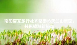 南阳百家旅行社齐聚秦岭天竺山景区，共探旅游新热点