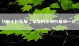 旗舰手机荣耀（荣耀的旗舰机是哪一款）