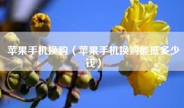 苹果手机换购（苹果手机换购能抵多少钱）