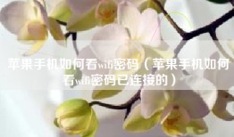 苹果手机如何看wifi密码（苹果手机如何看wifi密码已连接的）