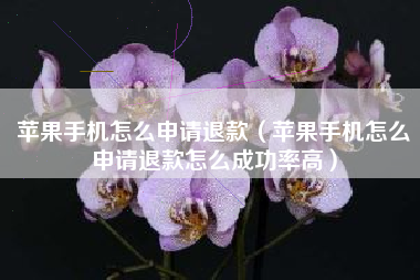 苹果手机怎么申请退款（苹果手机怎么申请退款怎么成功率高）