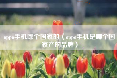 oppo手机哪个国家的（oppo手机是哪个国家产的品牌）