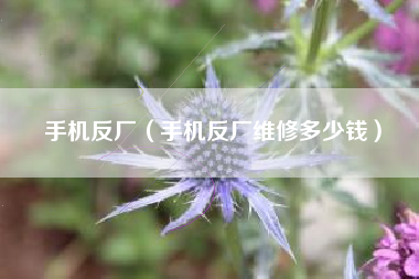 手机反厂（手机反厂维修多少钱）