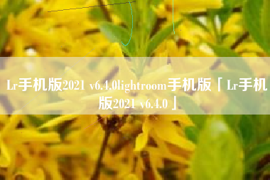 Lr手机版2021 v6.4.0lightroom手机版「Lr手机版2021 v6.4.0」